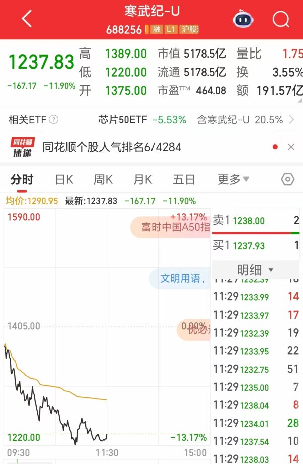 鼎茂策略 寒武纪股价一度大跌13%，市值蒸发超694亿元